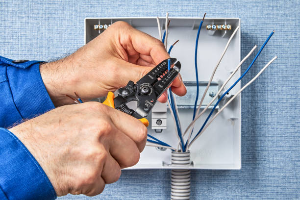 Best Electrical Panel Upgrades  in San Buenaventura, CA